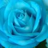 skyblue.2222