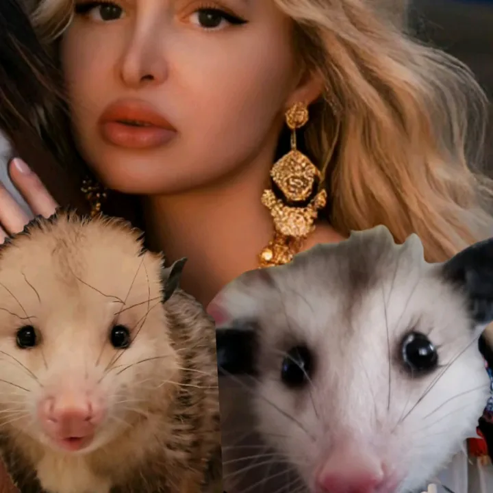 anniemaewest