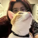 @maferpages