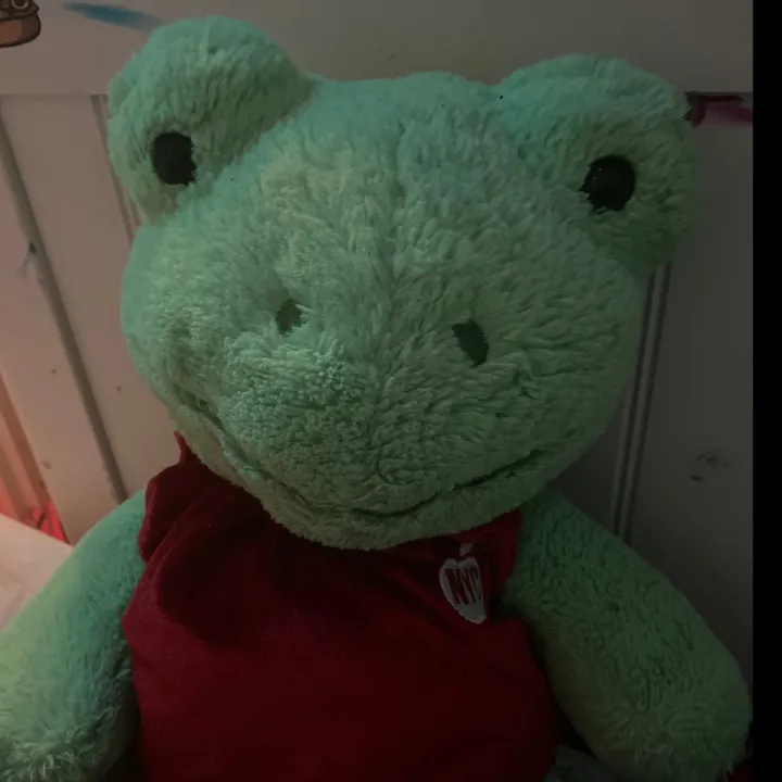 frogs_are_perfect