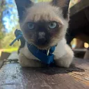 @misoandsproutadventures
