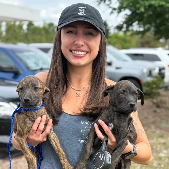 rescuerealnesswithbriana