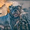 gordithebully