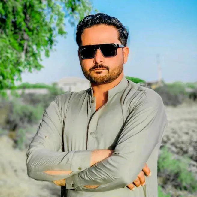 aligulmemon1