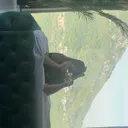 @9999z993