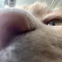 @ddizzy1ow