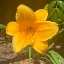 @hereandthere.com