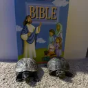 @turtleverses