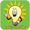 meovatcuocsong111