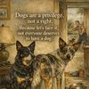 meandmydogs012345