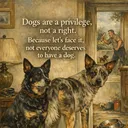 @meandmydogs012345