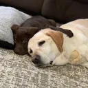 @griffeyandtrout
