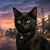 nyx_catslife