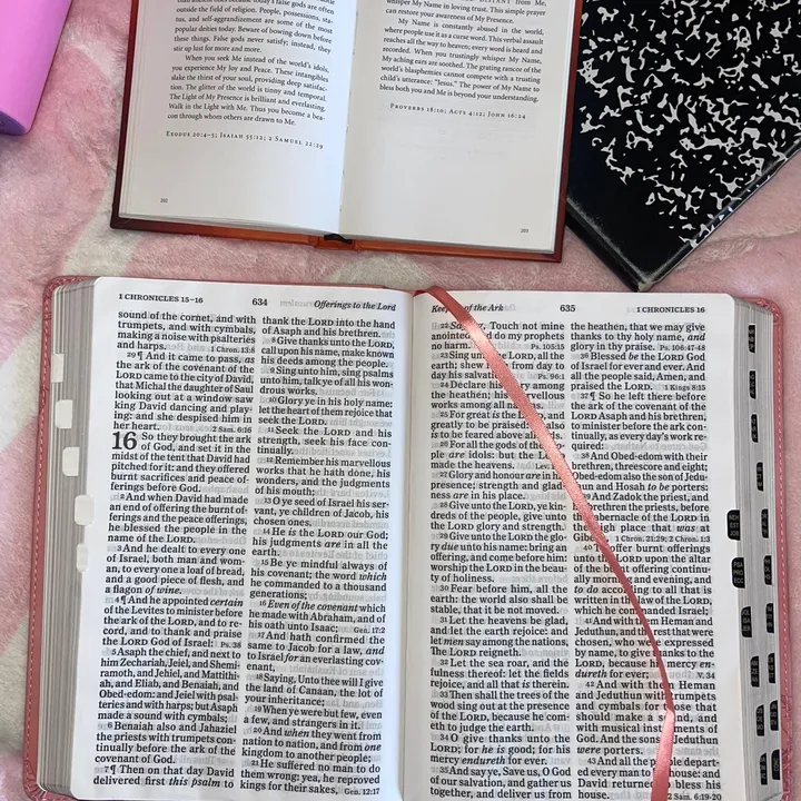 voiceofscripture4