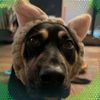 thundrarayray