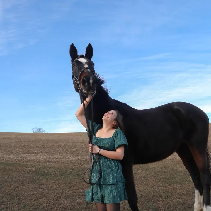a.equestrian4