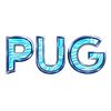 pug.r6