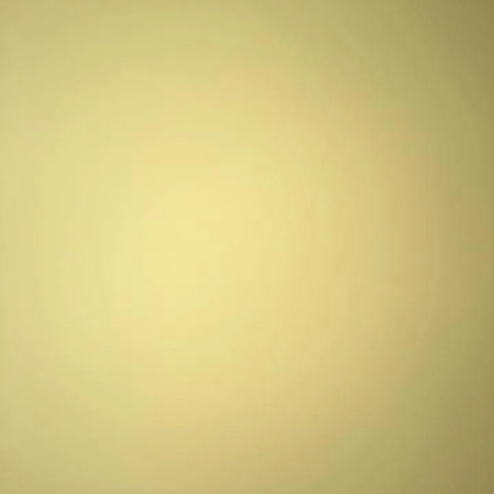 nishelle7
