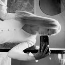 @dina.ness