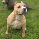 @hera_the_bully22