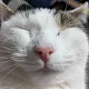 @m4x4ever