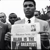 theislamicbro