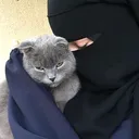 @fatmaahsen11