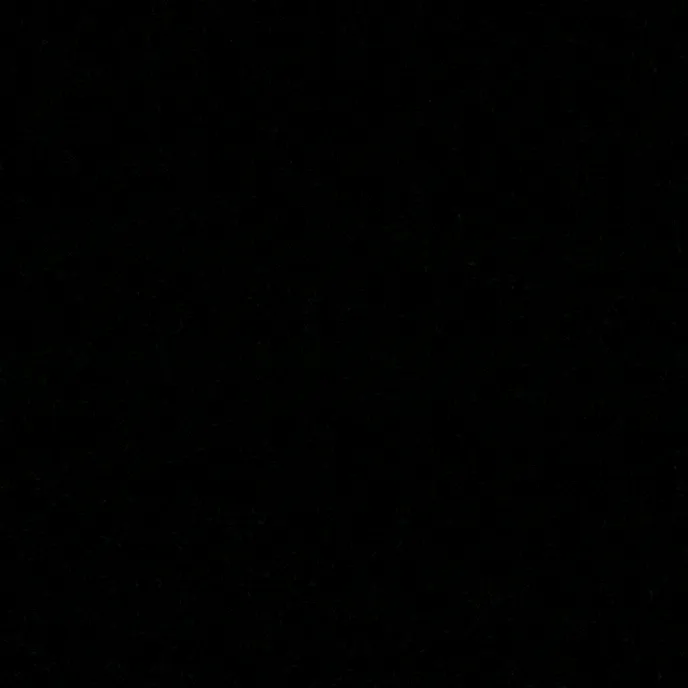 teamnegro19827