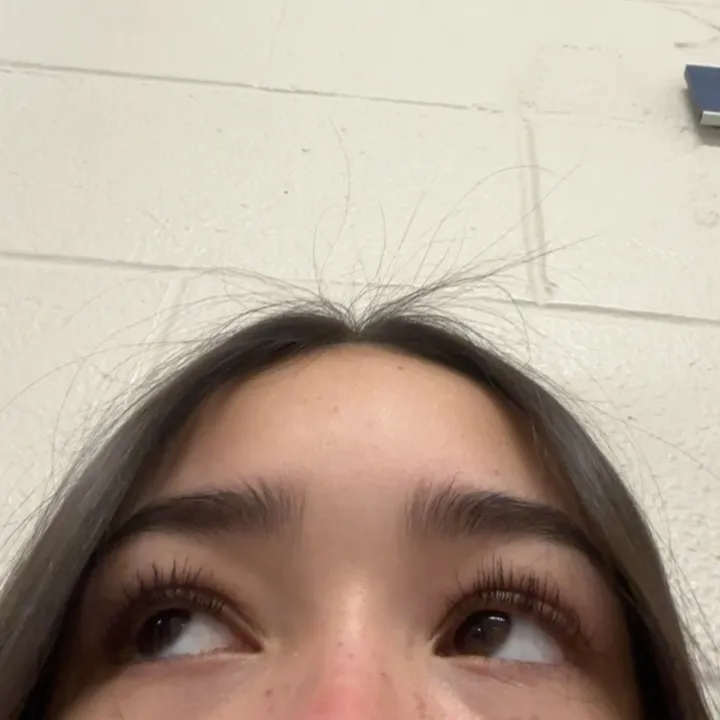 @thegoatleilahwayla
