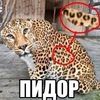 pashalko_69