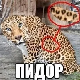 @pashalko_69