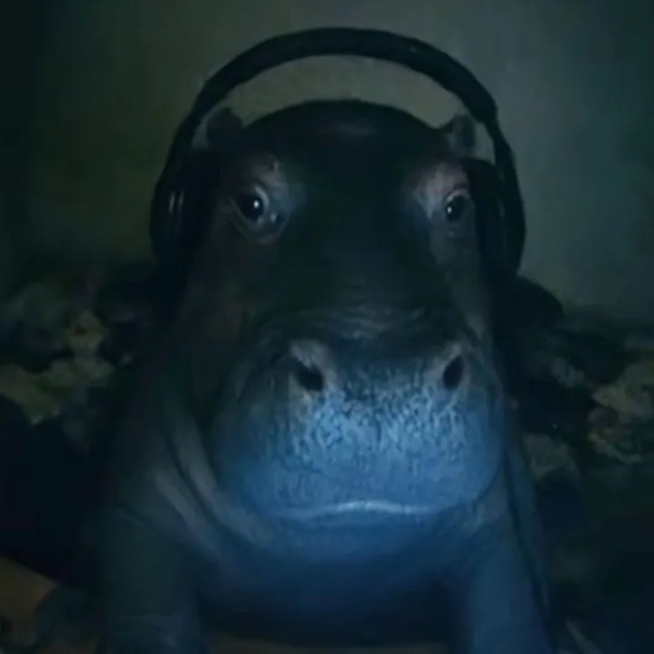 @dannydevitostan123
