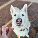 @moon_theorigional