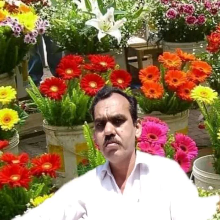 @mohmmad.mansha4