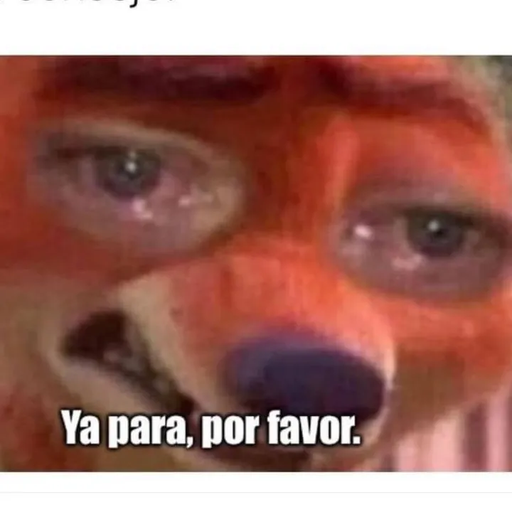 @feragabo