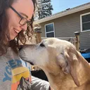 @ebreeggy