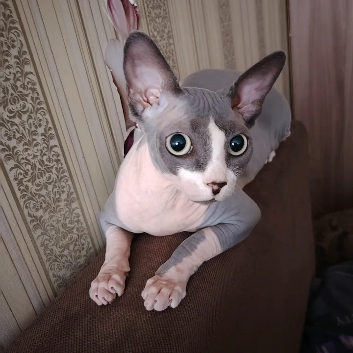 lenochka_shabaltas