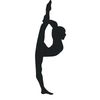 .acro_gym