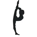 @.acro_gym