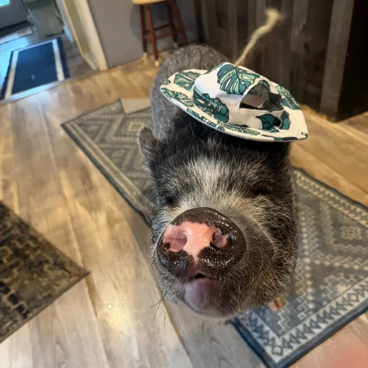 merleandmama