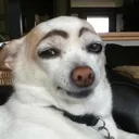 @lostmymarblesagain