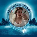 @tiiff1024