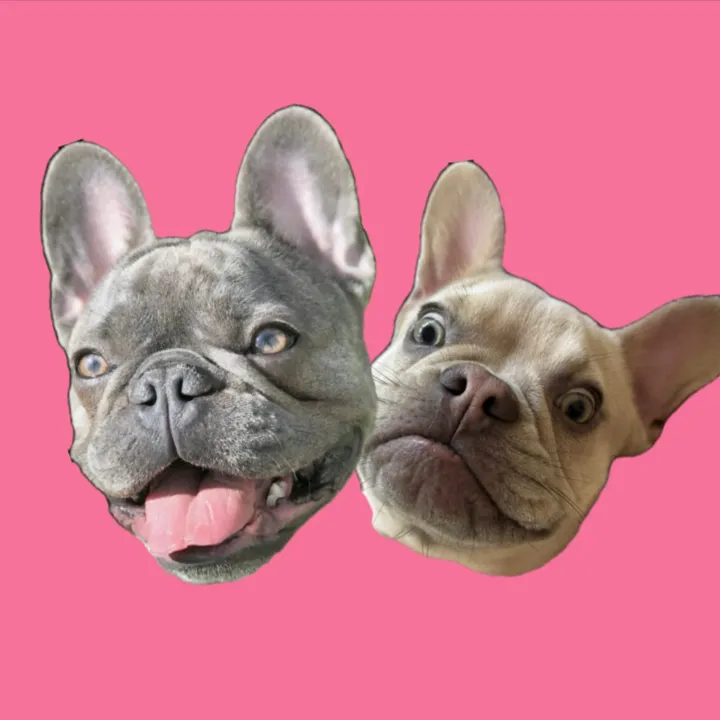 winstonthefrenchiee_