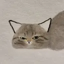 @anaaakha__