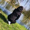 sophiie_e36