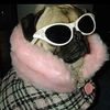 sassypuggy