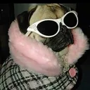 @sassypuggy