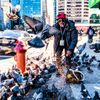 gregoryrobinson404