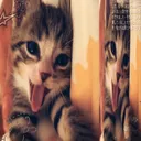 @nothingnew_zz