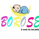 @boroseglobal
